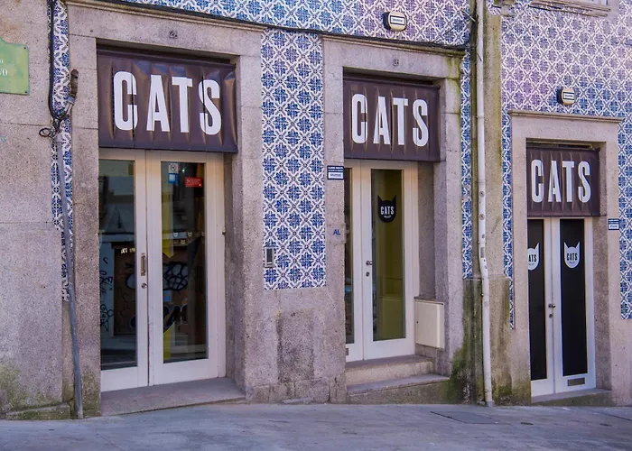 Cats Porto Hostel